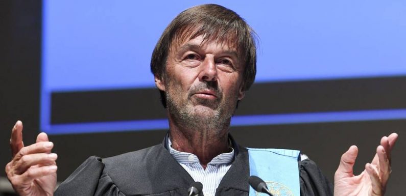 Néonicotinoïdes : Hulot « appelle les députés à ne pas voter cette loi »