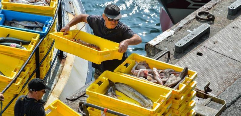 Brexit : Mais pourquoi le bras-de-fer franco-britannique sur la pêche est-il toujours d’actualité ?