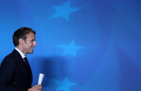 Présidence française de l’UE : Emmanuel Macron attendu au tournant sur l’environnement ?