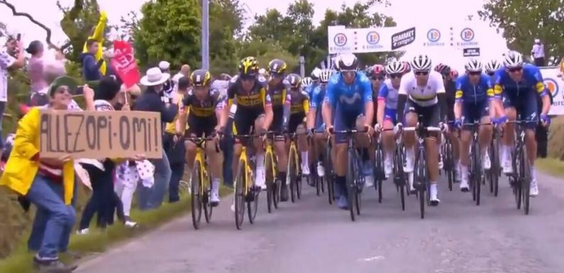 Tour de France 2021 : La spectatrice « Allez Opi Omi » condamnée à une amende pour avoir provoqué une chute massive