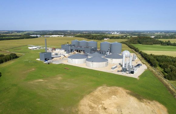 Agriculture : Bientôt des usines de méthanisation XXL en France ?