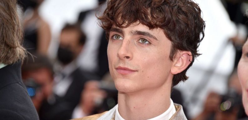 Spider-Man, et si Timotheé Chalamet était dans le MCU ? Les acteurs s’amusent à lui trouver un rôle