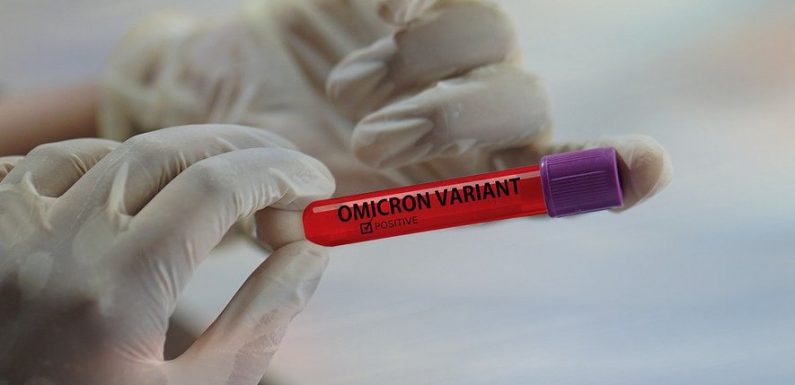 Variant Omicron du Covid-19 : des symptômes moins sévères mais un taux de réinfection plus élevé selon l’OMS